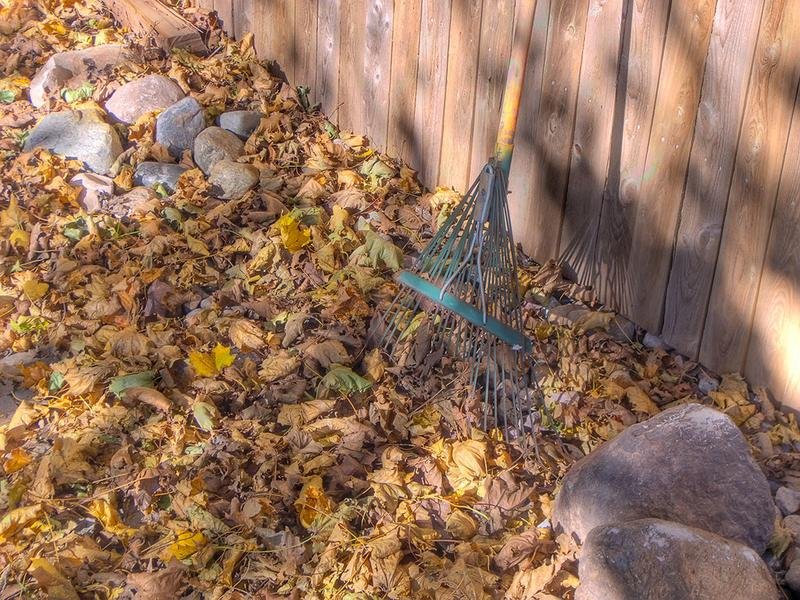 Spring & Fall Cleanup in Appleton